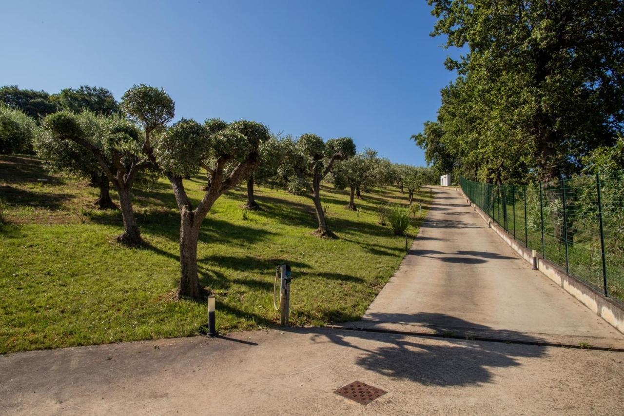 Bed and Breakfast Ulivo Bianco San Giovanni Teatino Exterior foto